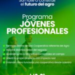 Programa Jóvenes Profesionales