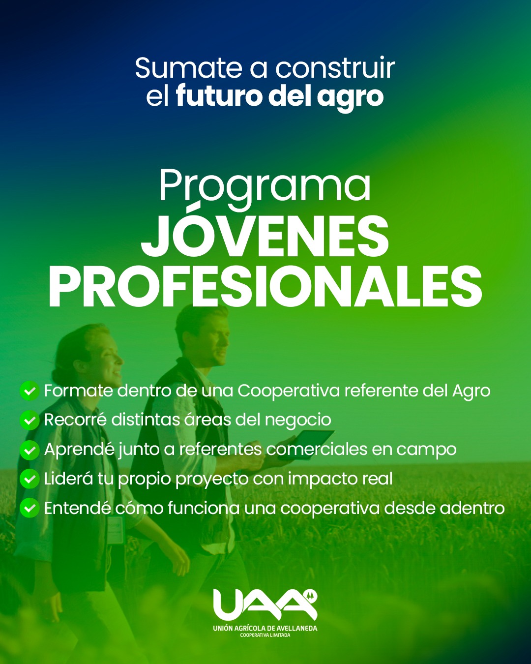 Lee más sobre el artículo Programa Jóvenes Profesionales