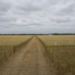 El Niño se fortalece: cómo podrían evolucionar las lluvias durante la campaña 2026/27